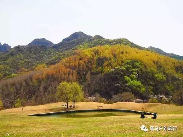 地板冒岩浆无敌版